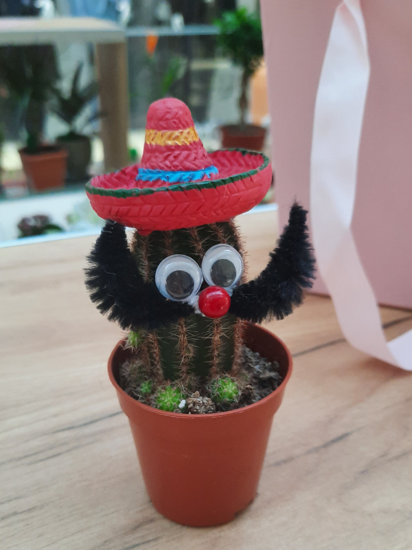 Madame Cvećara | Kaktus Sombrero